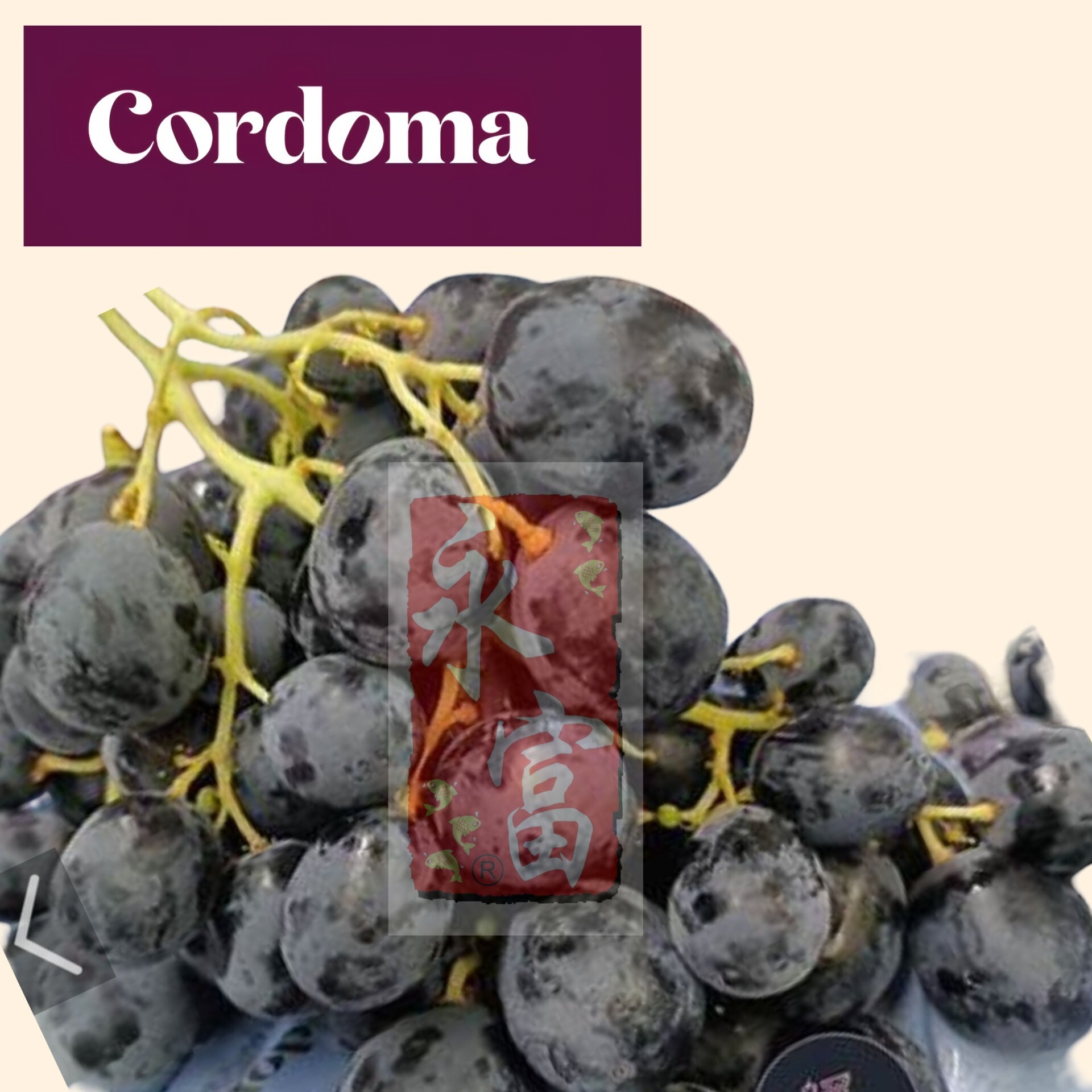 澳洲無核黑提子