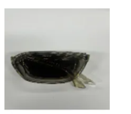 [S] PIRPIR FOLD SUNGLASS BEIGE, SZZ1037 (SZZ1037)