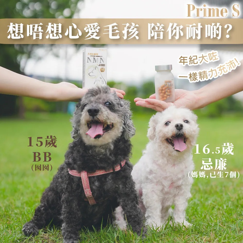 (鰹魚味) Prime S - 寵物專用NMN抗老修復護眼強骨補充膠囊  T06  (2-3星期寄出)