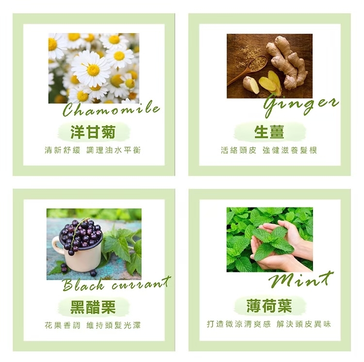 控油,去油,頭皮屑,夏天,清涼,薄荷,保濕,養髮,落髮,掉髮,髮香水
