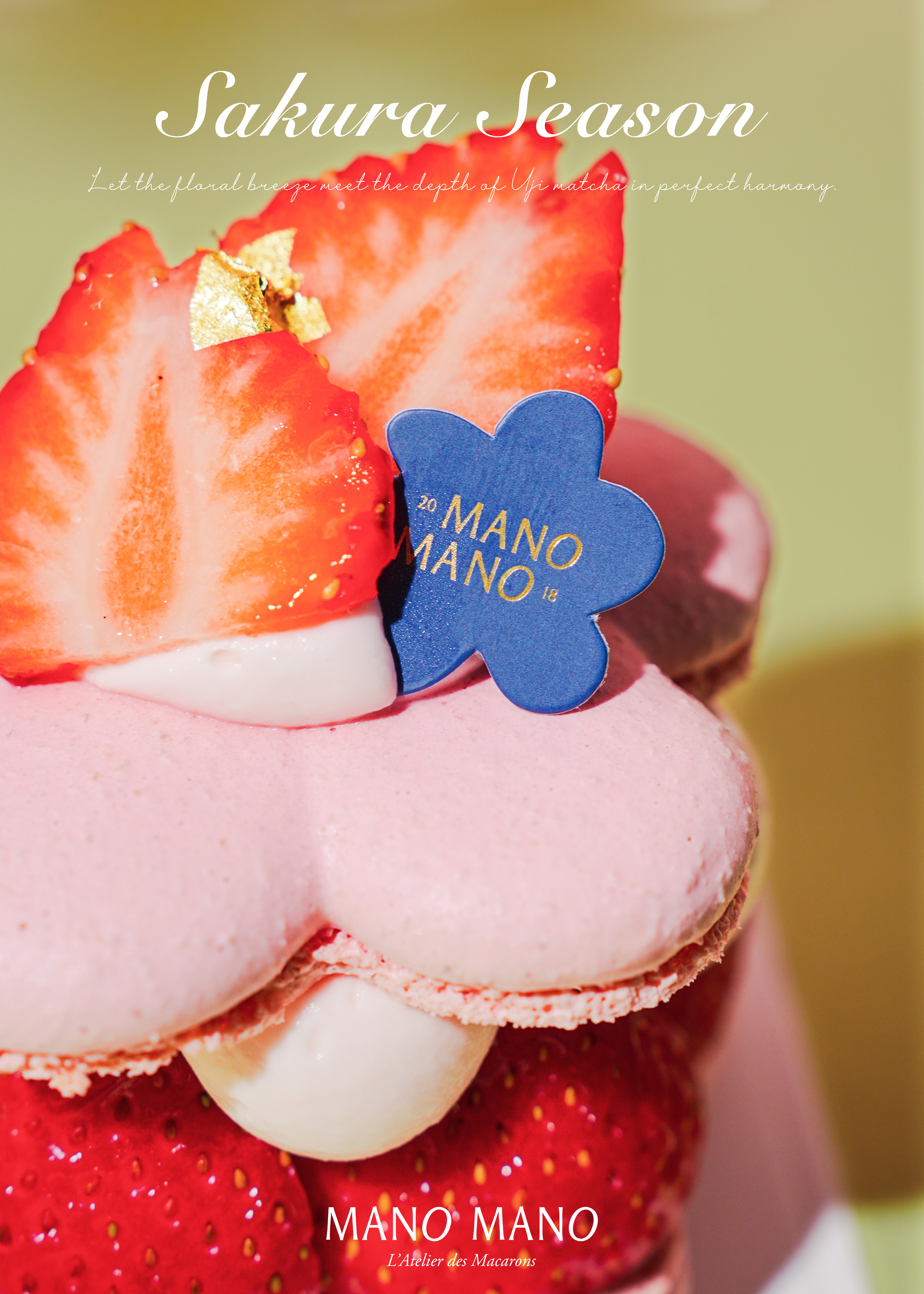 櫻花香緹馬卡龍