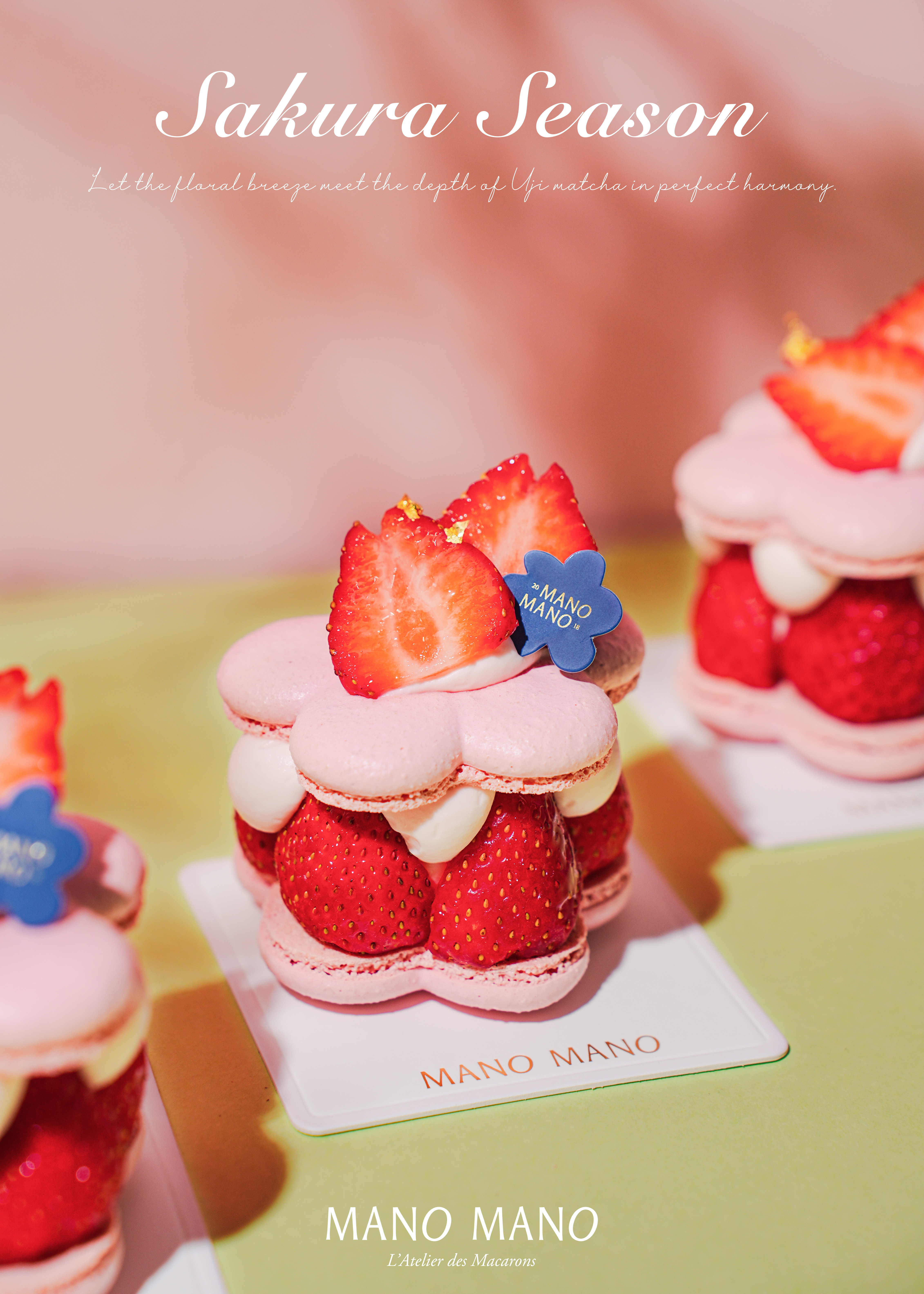 櫻花香緹馬卡龍