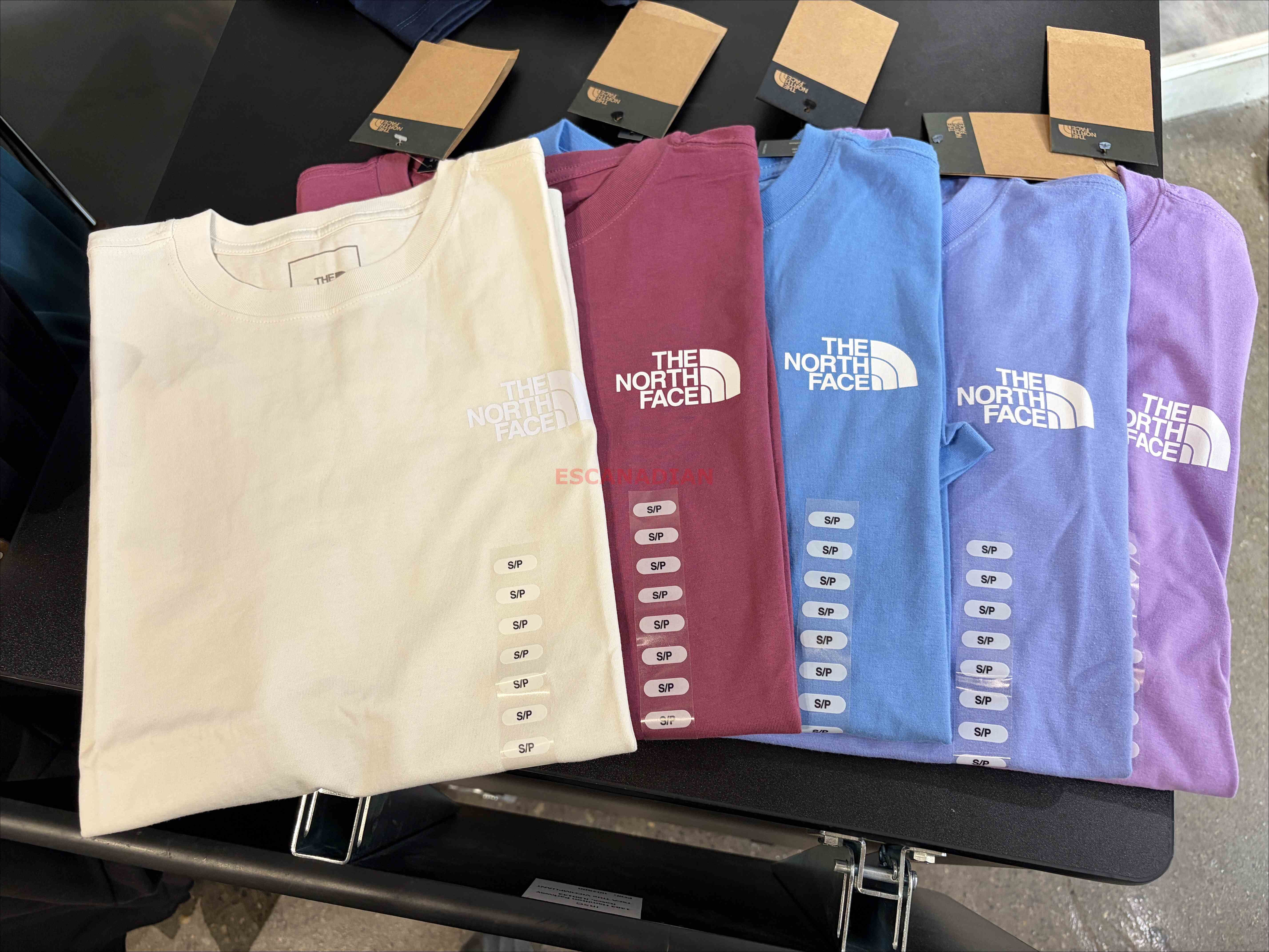 THE NORTH FACE 女大人 經典正反圖 短TEE (5色)