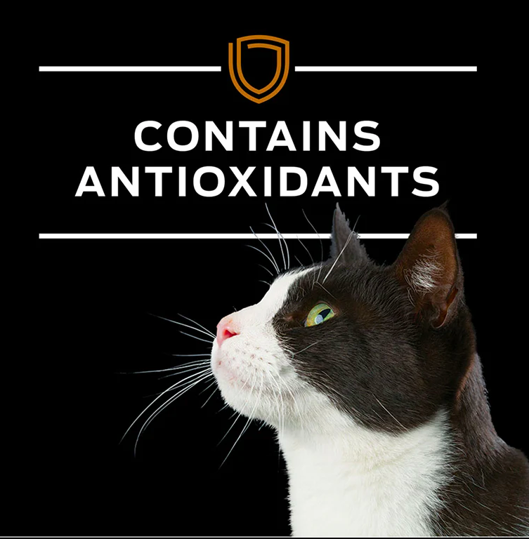 Purina Pro Plan - 處方食品貓用腎臟護理(早期支援)罐頭 5.5安士 (24罐)