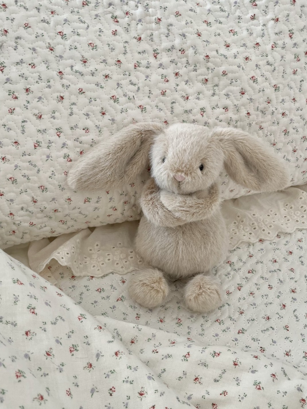 JELLYCAT 叢林動 芙蓉邦尼兔 毛絨公仔 18CM高