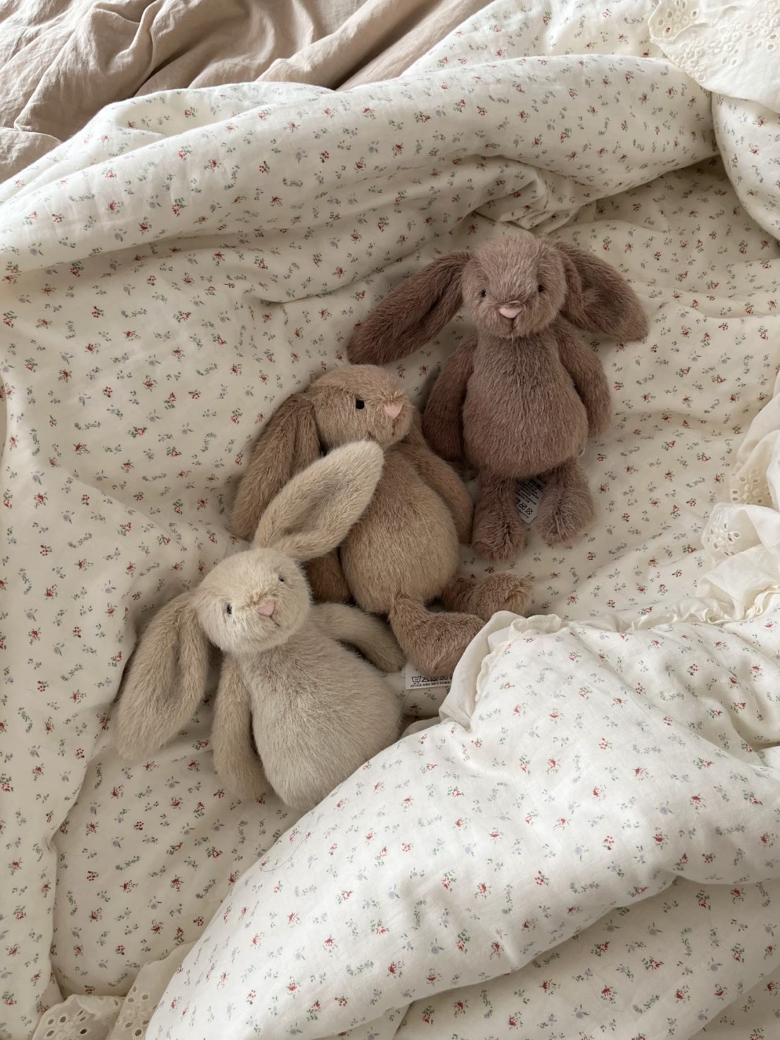 JELLYCAT 叢林動 芙蓉邦尼兔 毛絨公仔 18CM高