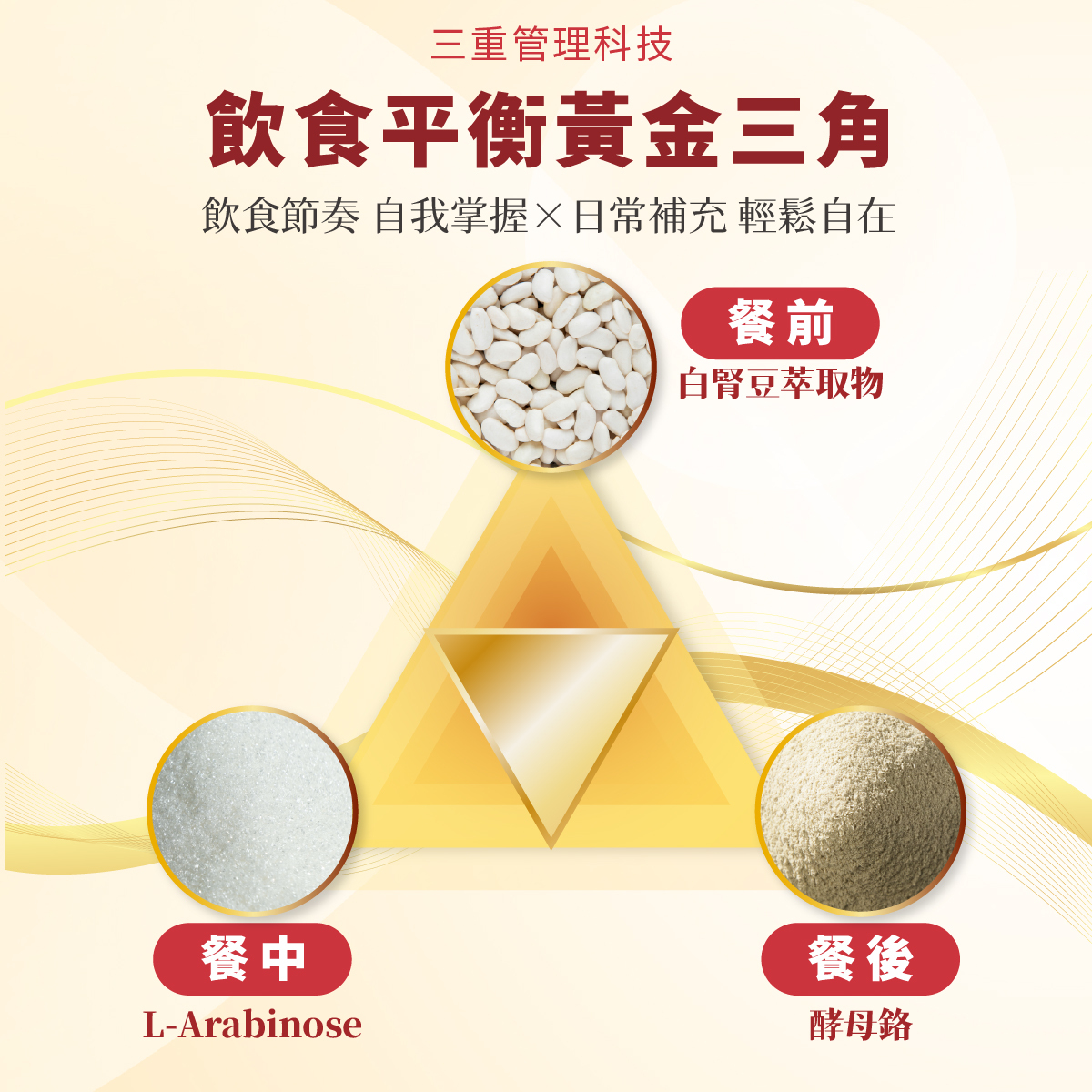 🔥日常代謝管理首選｜白腎豆萃取物｜【太陽星】糖切切SugarCut(50錠/瓶，多規格)