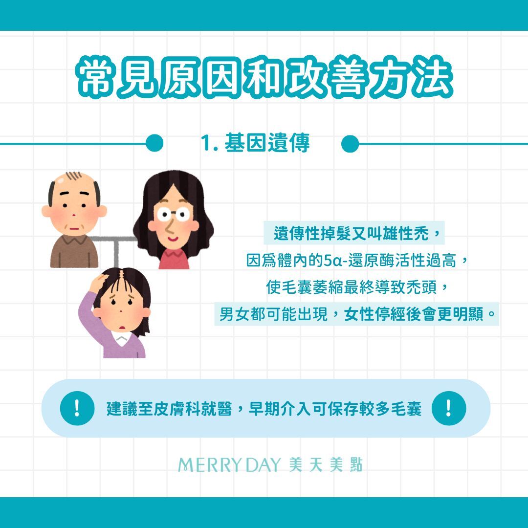 	基因遺傳：遺傳性掉髮又叫雄性禿，因為體內的5α-還原酶活性過高，使毛囊萎縮最終導致禿頭。男女都可能出現，女性停經後會更明顯(2)。 ➡️建議趁早至皮膚科就醫，早期介入可保存較多毛囊。