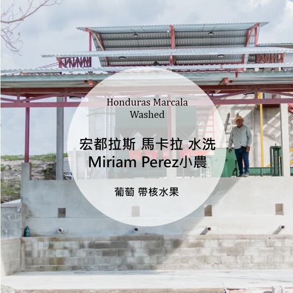Honduras Marcala Washed