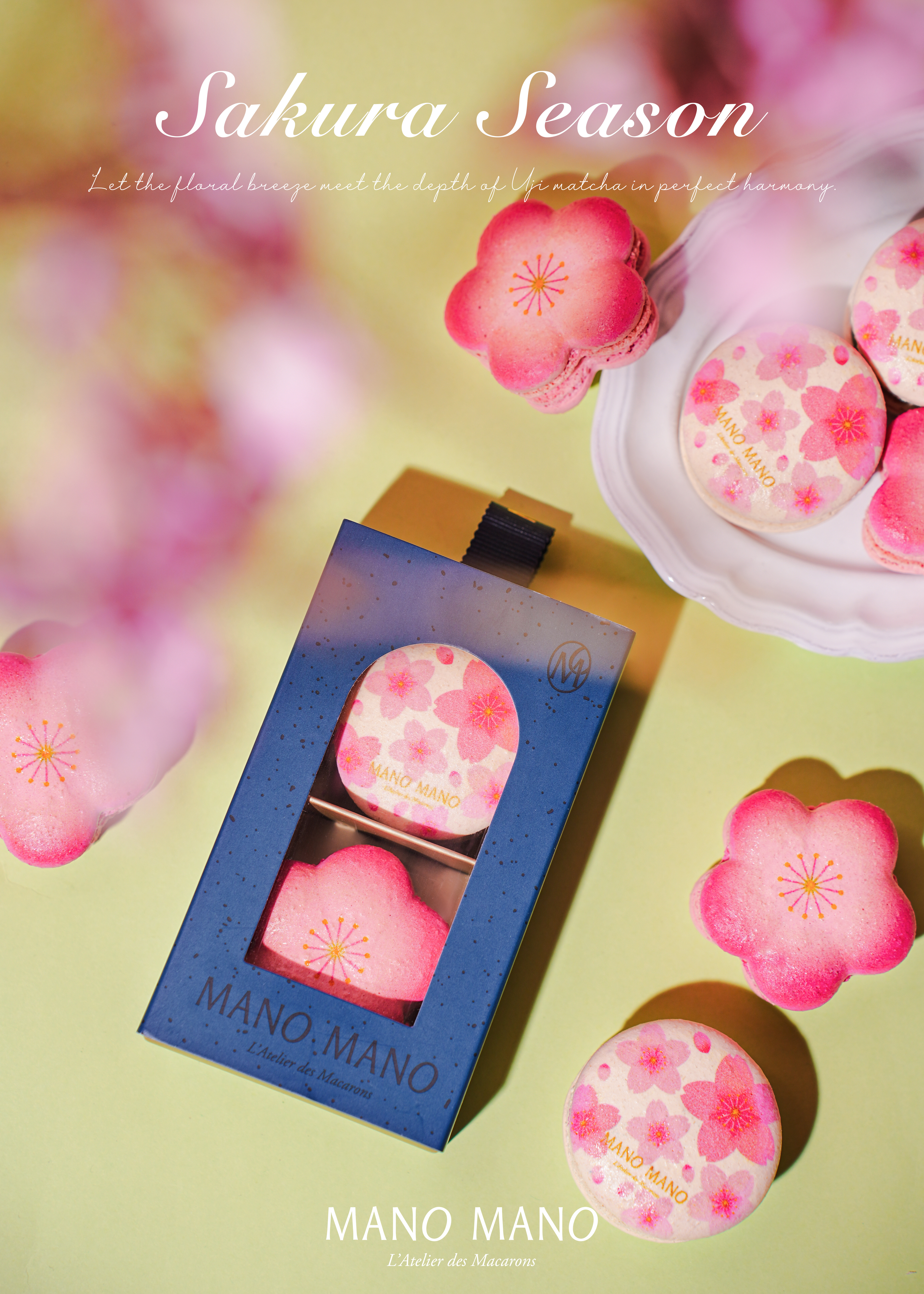 櫻花馬卡龍｜雙入