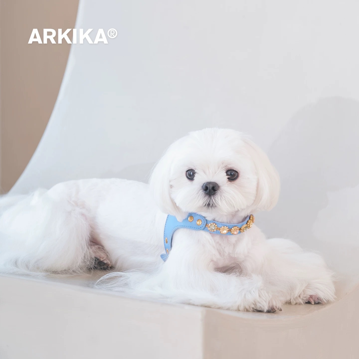 ARKIKA 宠物彩砖胸背带 新款扣