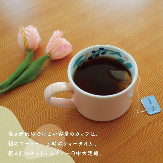 日本 CDF etendue Dessin 水彩繪本 花園 馬克杯 270ml