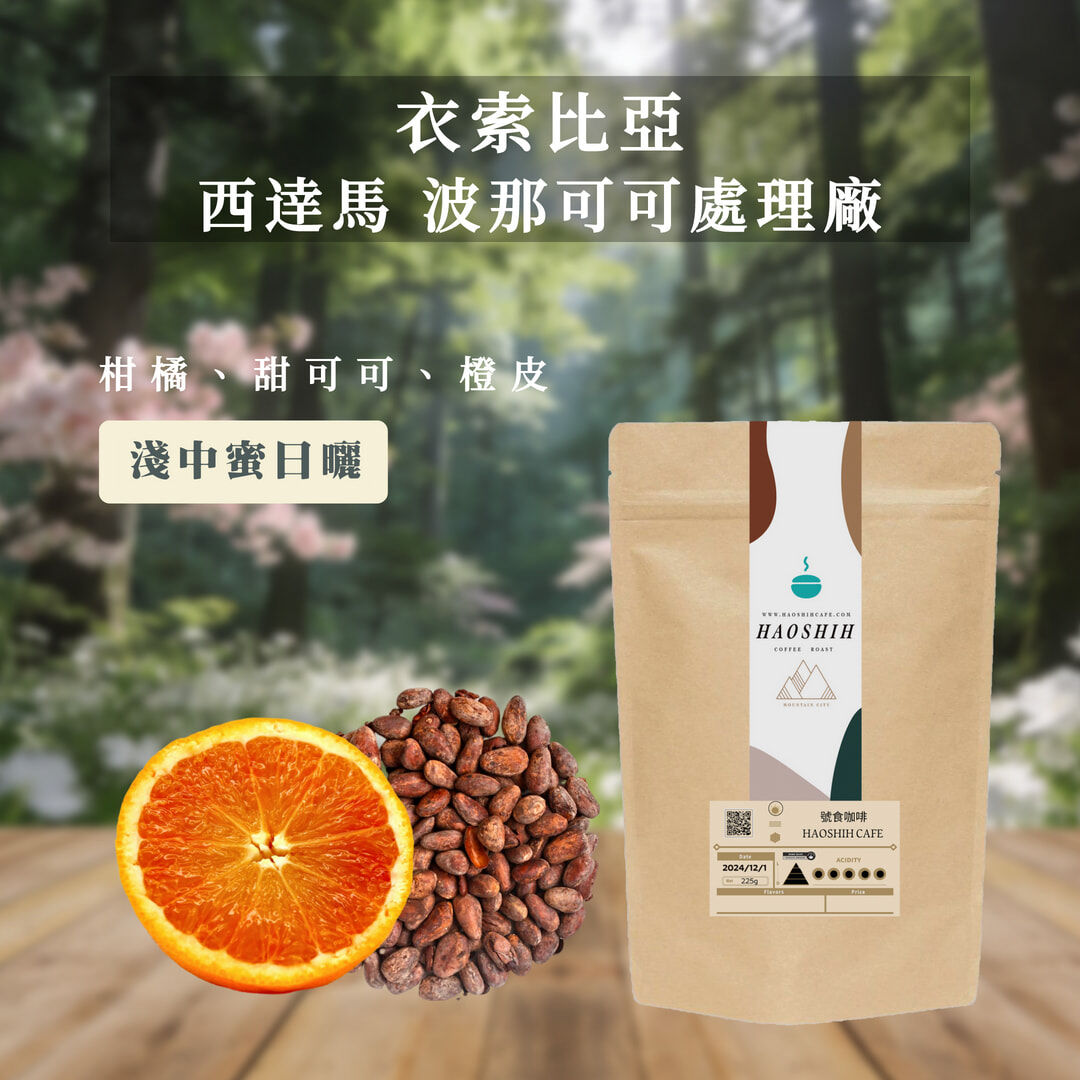 衣索比亞| 西達馬| 柏納鎮 波那可可處理廠