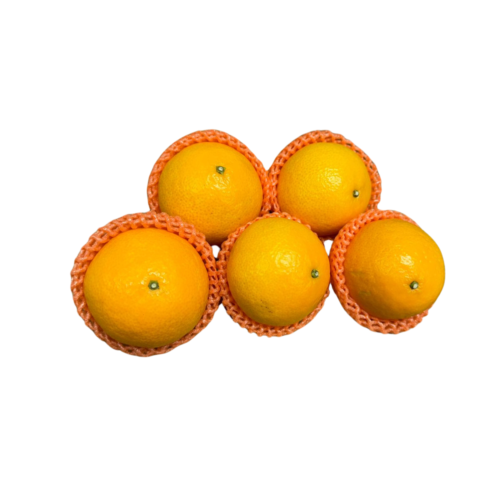 黃美人蜜柑 (5個/包)