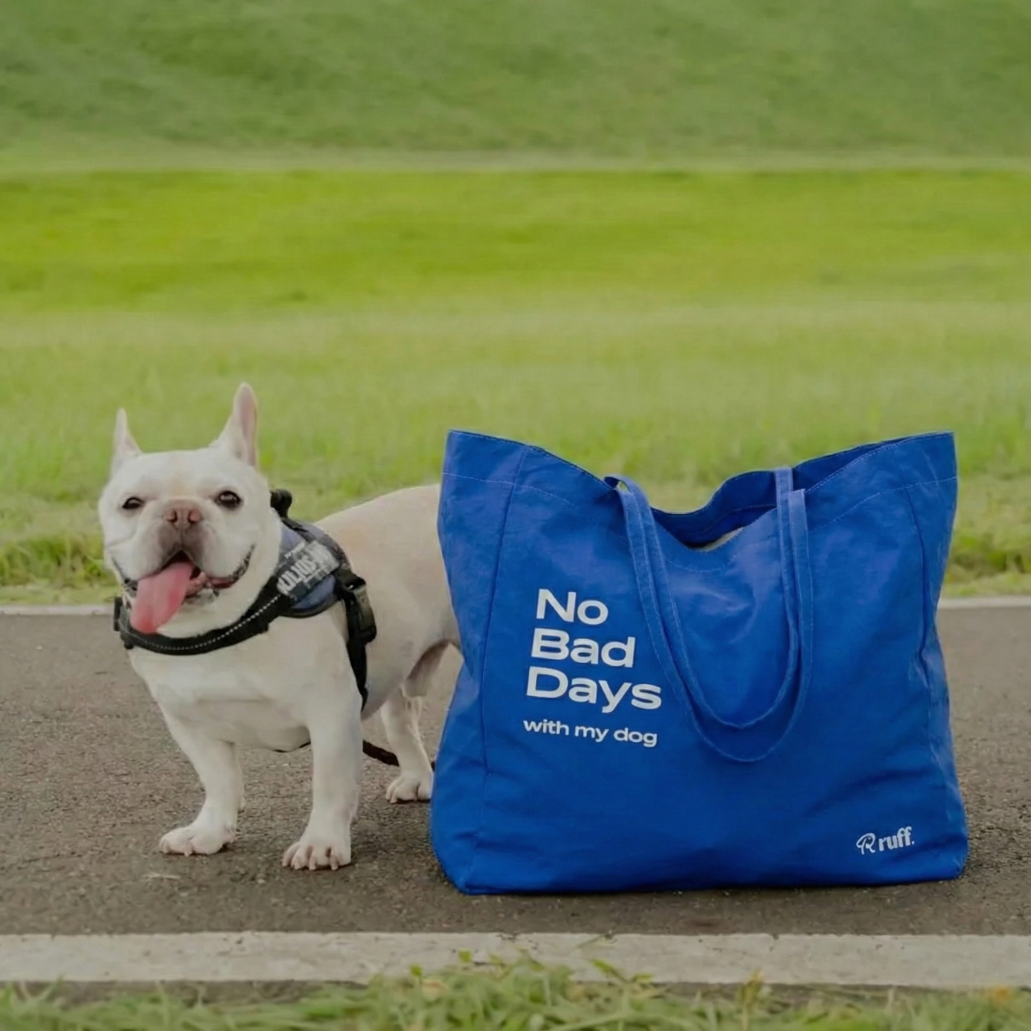 ruff. 藍色托特包