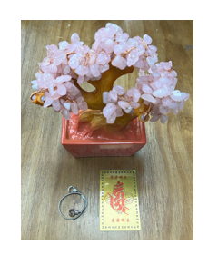 0225YKT32-碧霞師傅YKT—人見人愛套餐— [愛染明王手鏈(1件)] + [愛染明王卡(1張)] + [招財人緣樹(1棵)] - [卓娜直播間專屬優惠Package] (B3)