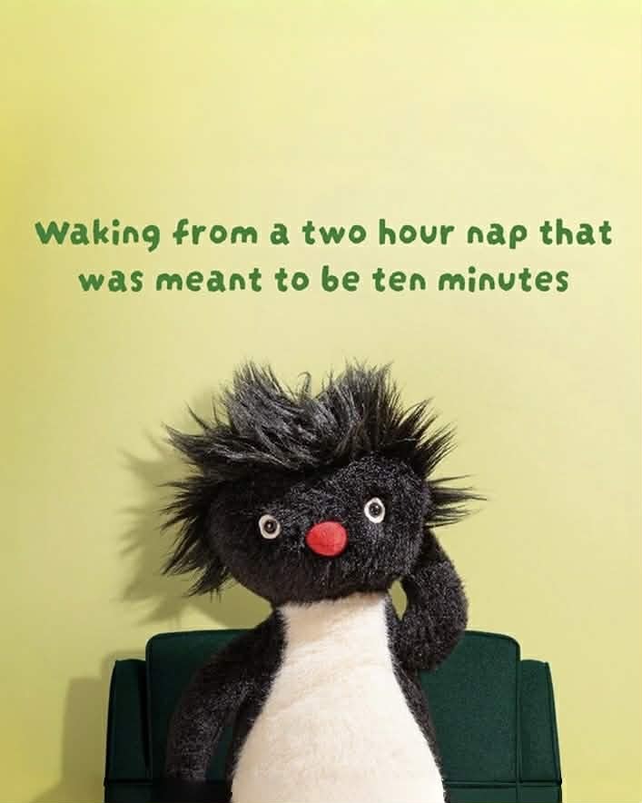 Jellycat  Ronnie Rockhopper Penguin 炸毛企鵝