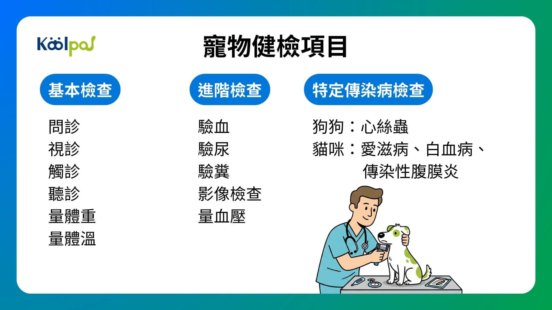 寵物健康檢查項目有哪些?貓咪狗狗健檢重點