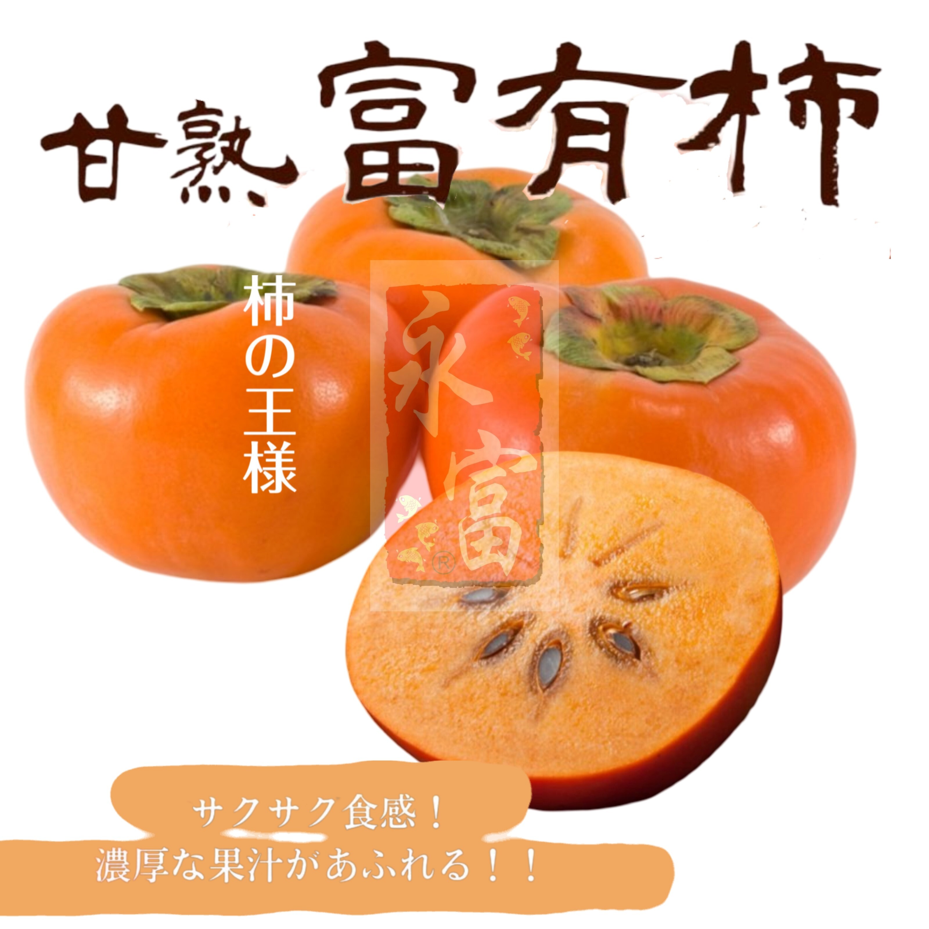 日本岐埠縣富有柿