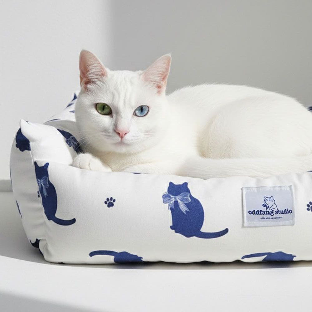 【ℕ𝔼𝕎】舒心沙發睡窩