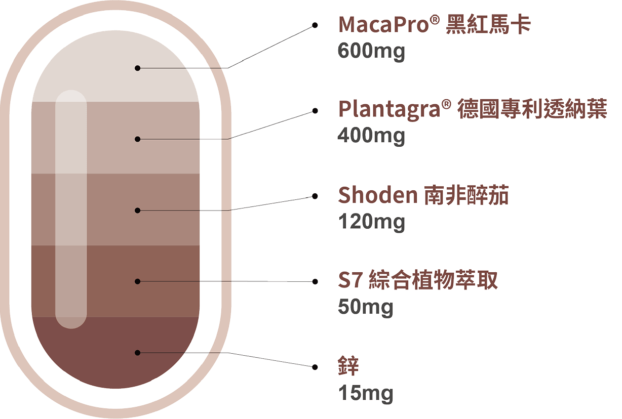 豐傑馬卡擁有4大臨床原料+男性必備「鋅」營養素