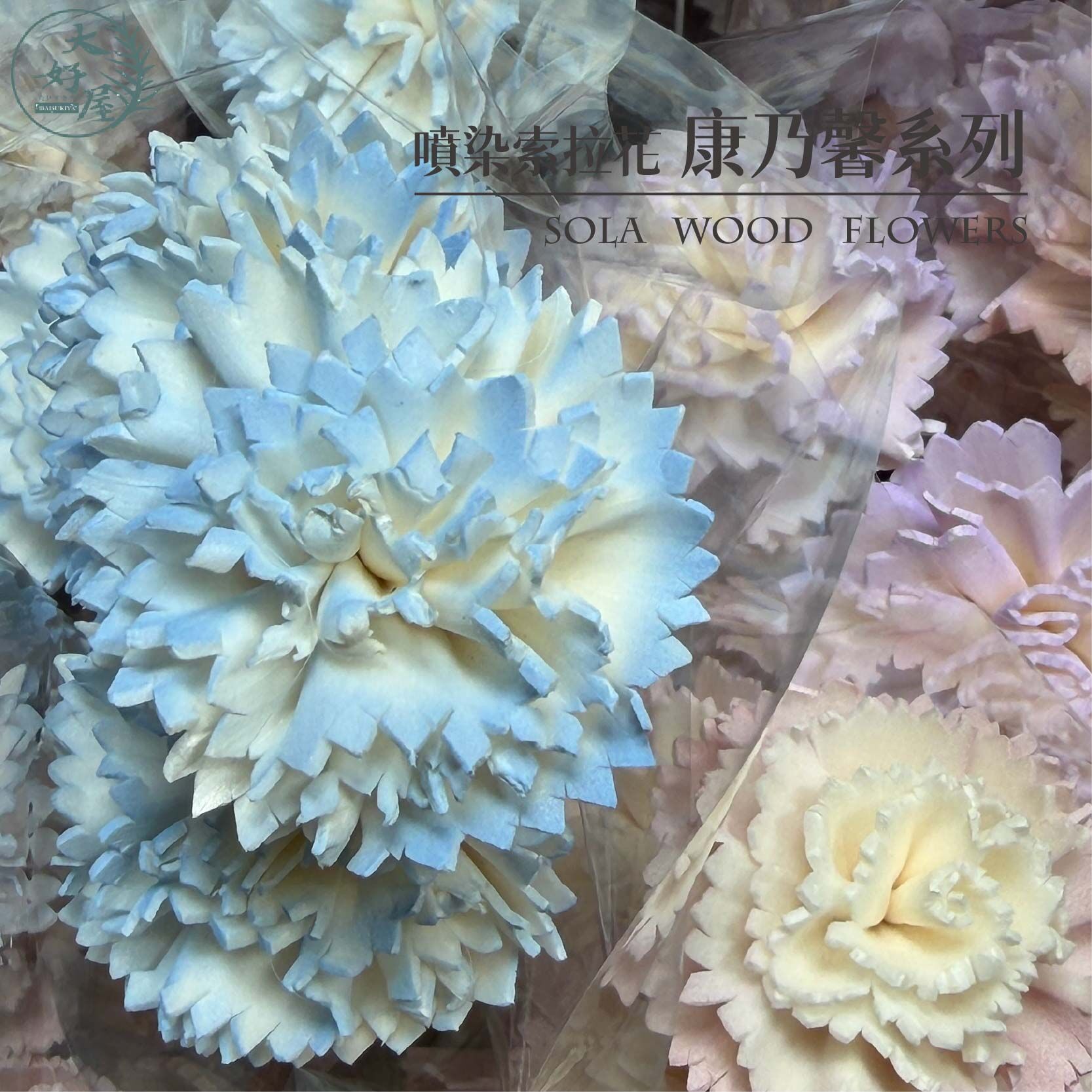 【網】噴染索拉-康乃馨系列