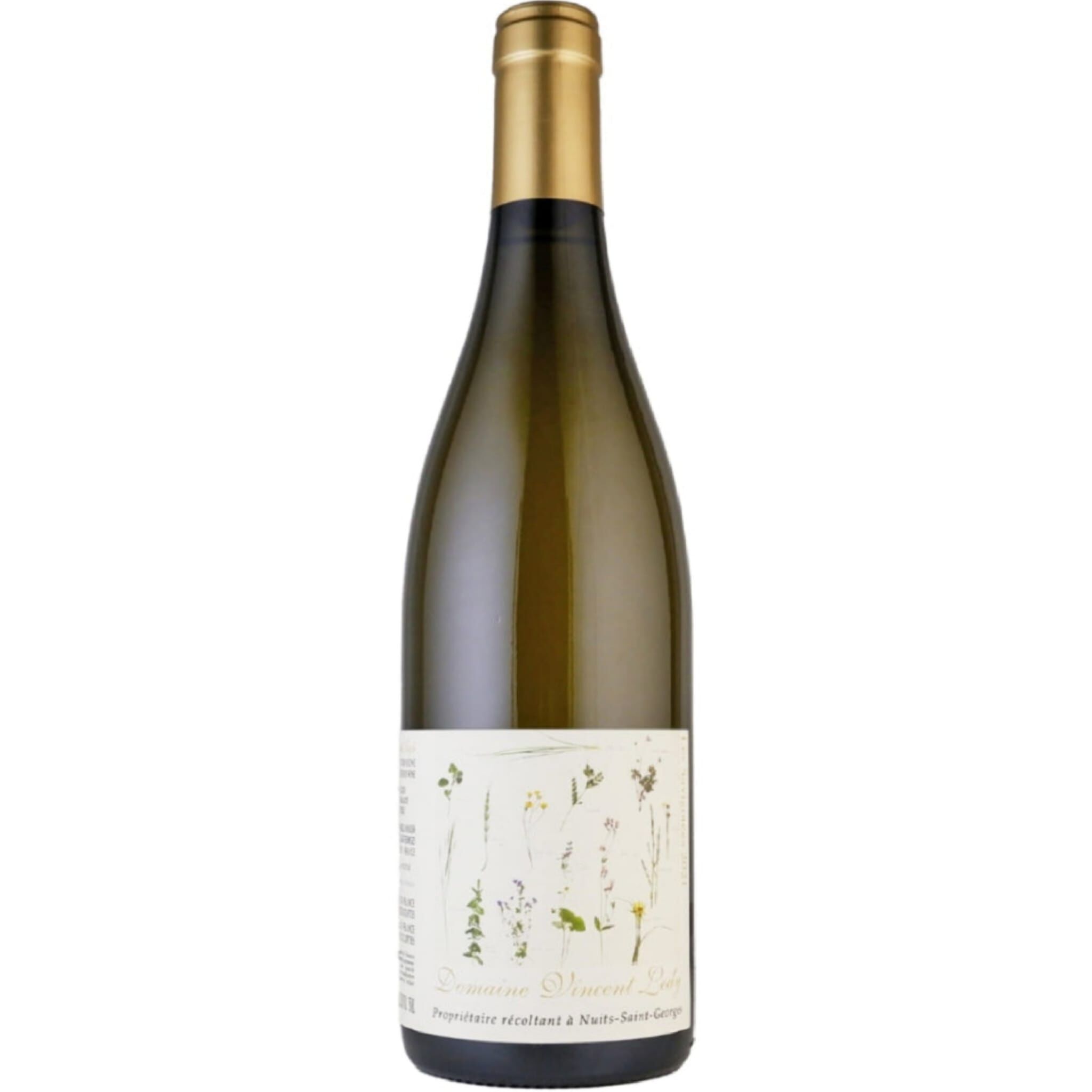 2022 Domaine Vincent Ledy Bourgogne Aligote Les Savigotees