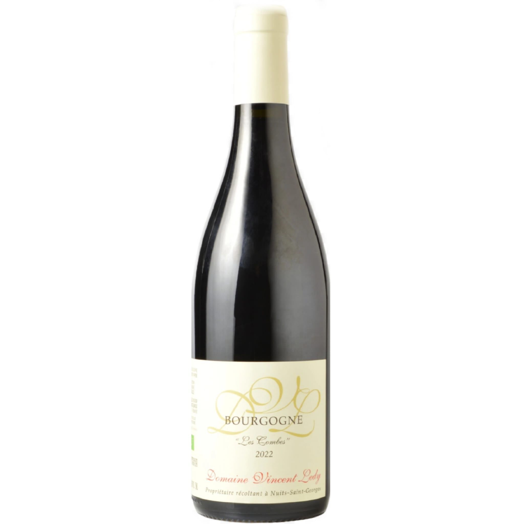 2022 Domaine Vincent Ledy Bourgogne Les Combes