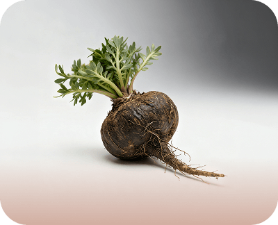 80%黑瑪卡示意圖