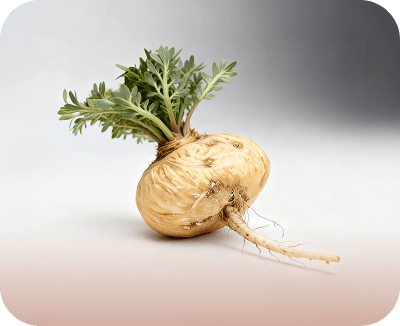 5%黃馬卡示意圖