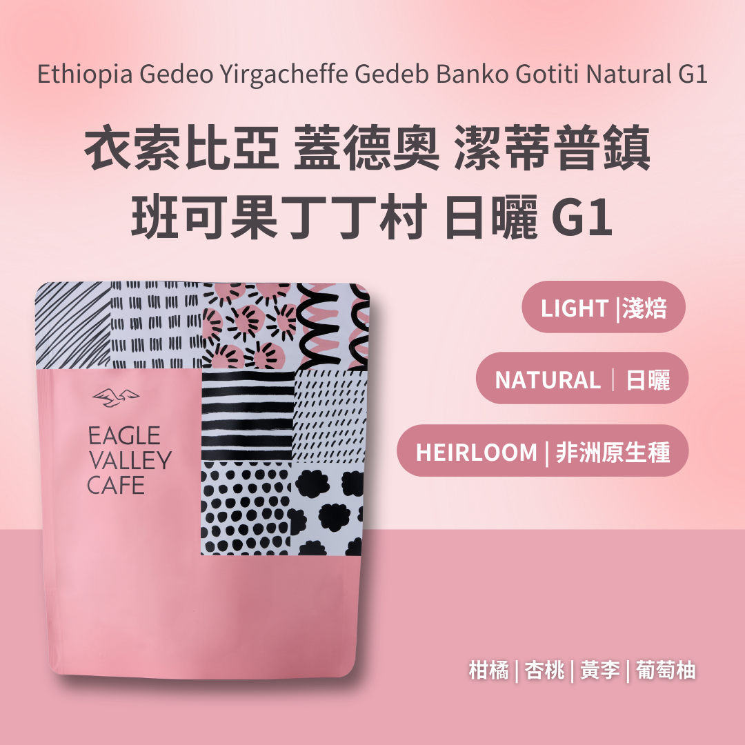 衣索比亞 蓋德奧 潔蒂普鎮 班可果丁丁村 日曬 G1 淺焙 咖啡豆