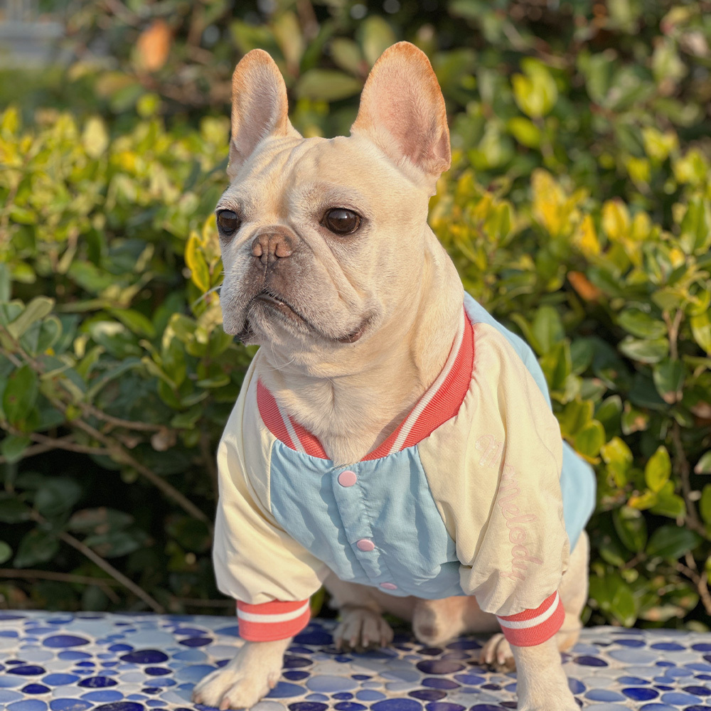 三麗鷗家族-花田系列寵物棉衣 美樂蒂 S