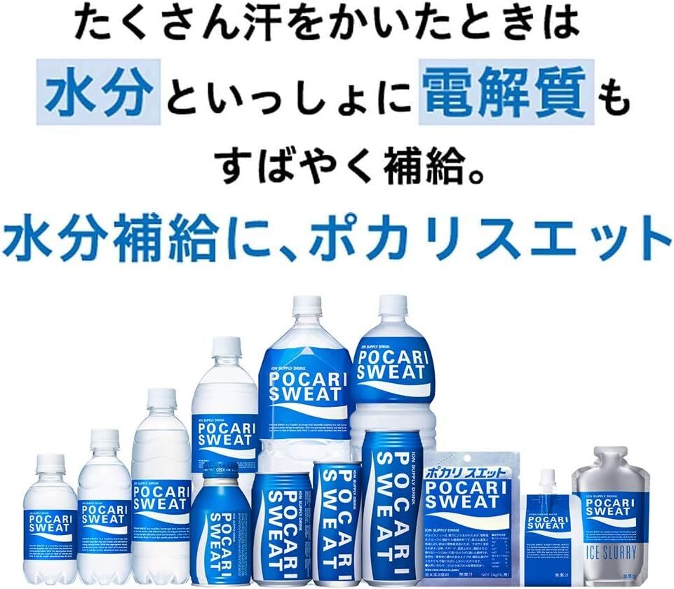 【原箱24罐裝】寶礦力水特日本版電解質補充飲料（B-罐裝 300ml） 日本直送