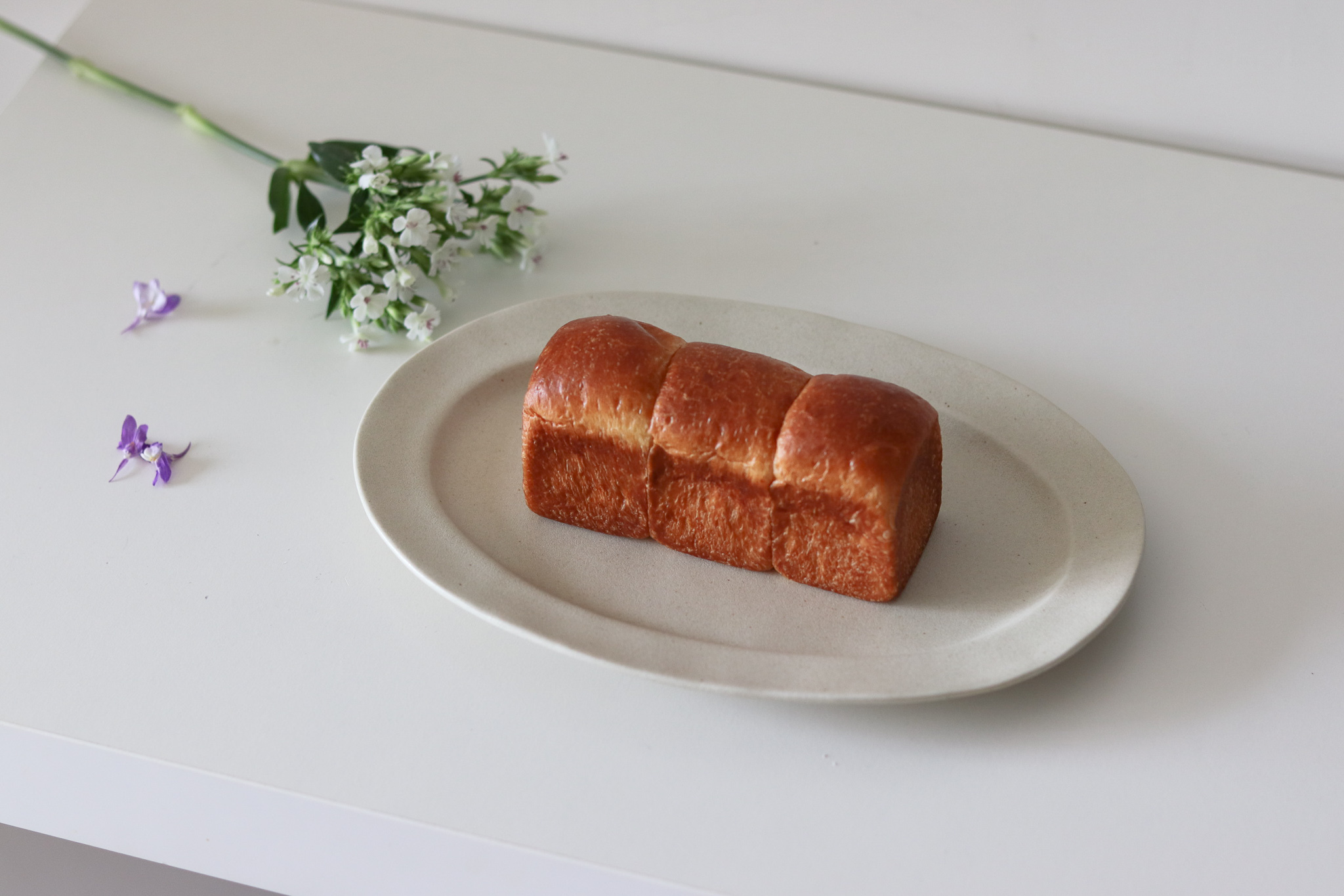 日本 KANESAN1893 瀨戶燒 CANTO 橢圓盤