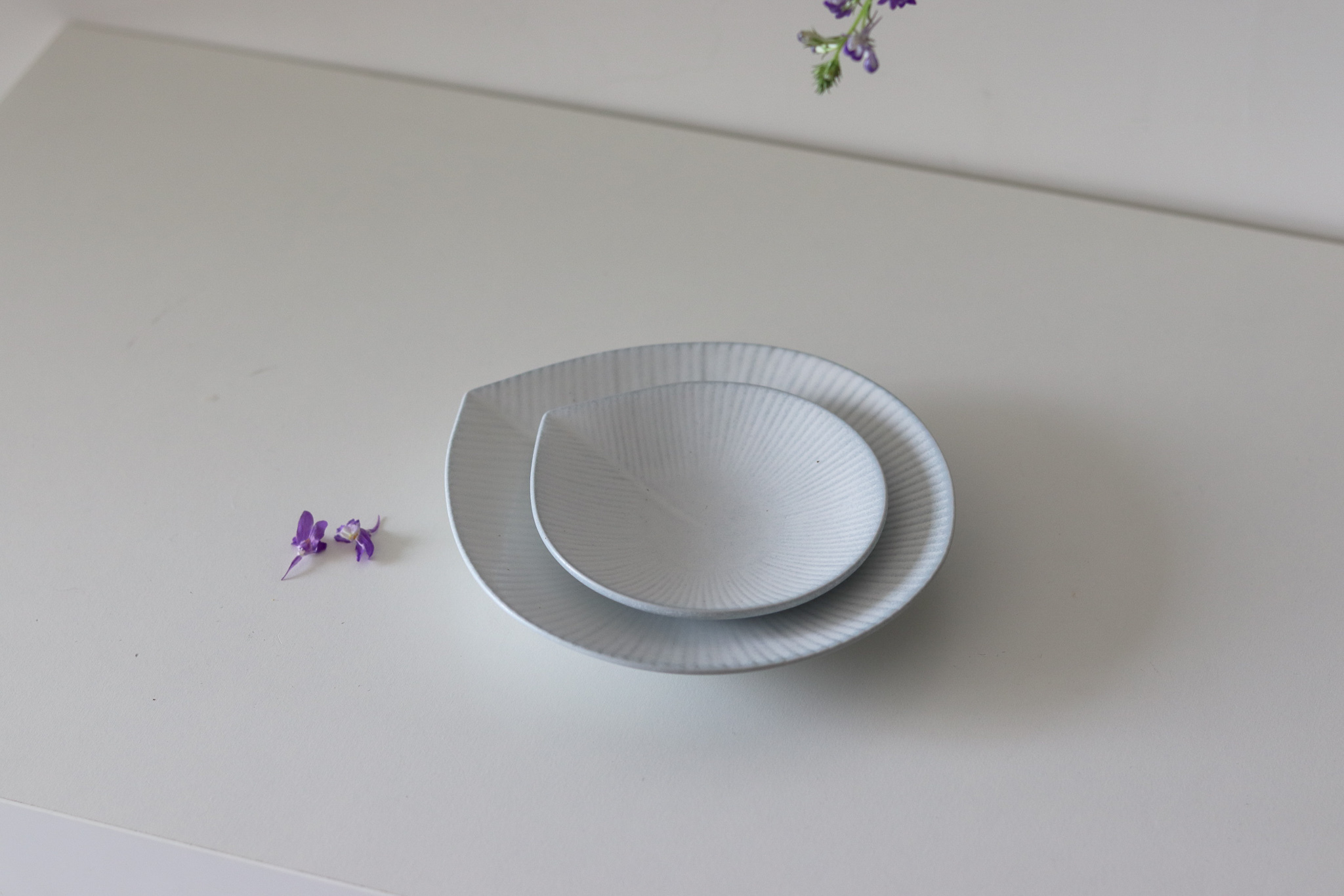 日本 美濃燒 細十草圓葉 盤