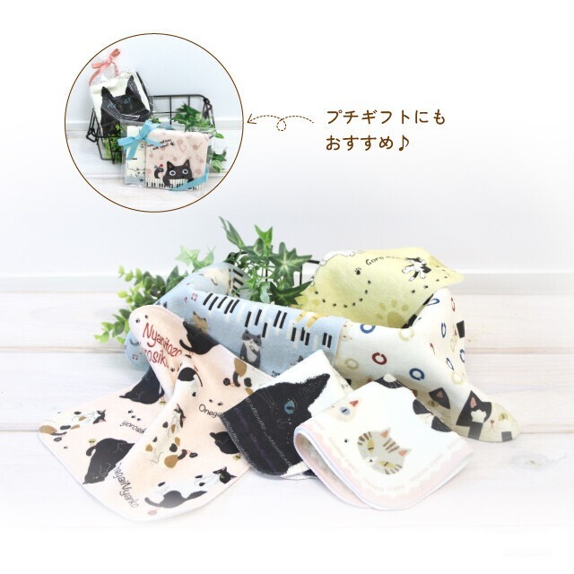 Goronyan 毛巾手帕