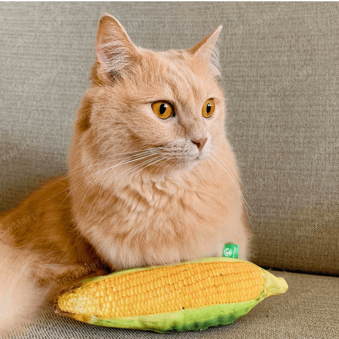 catwant 貓咪旺農場 玉米