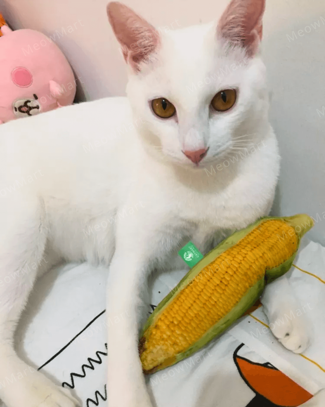 catwant 貓咪旺農場 玉米