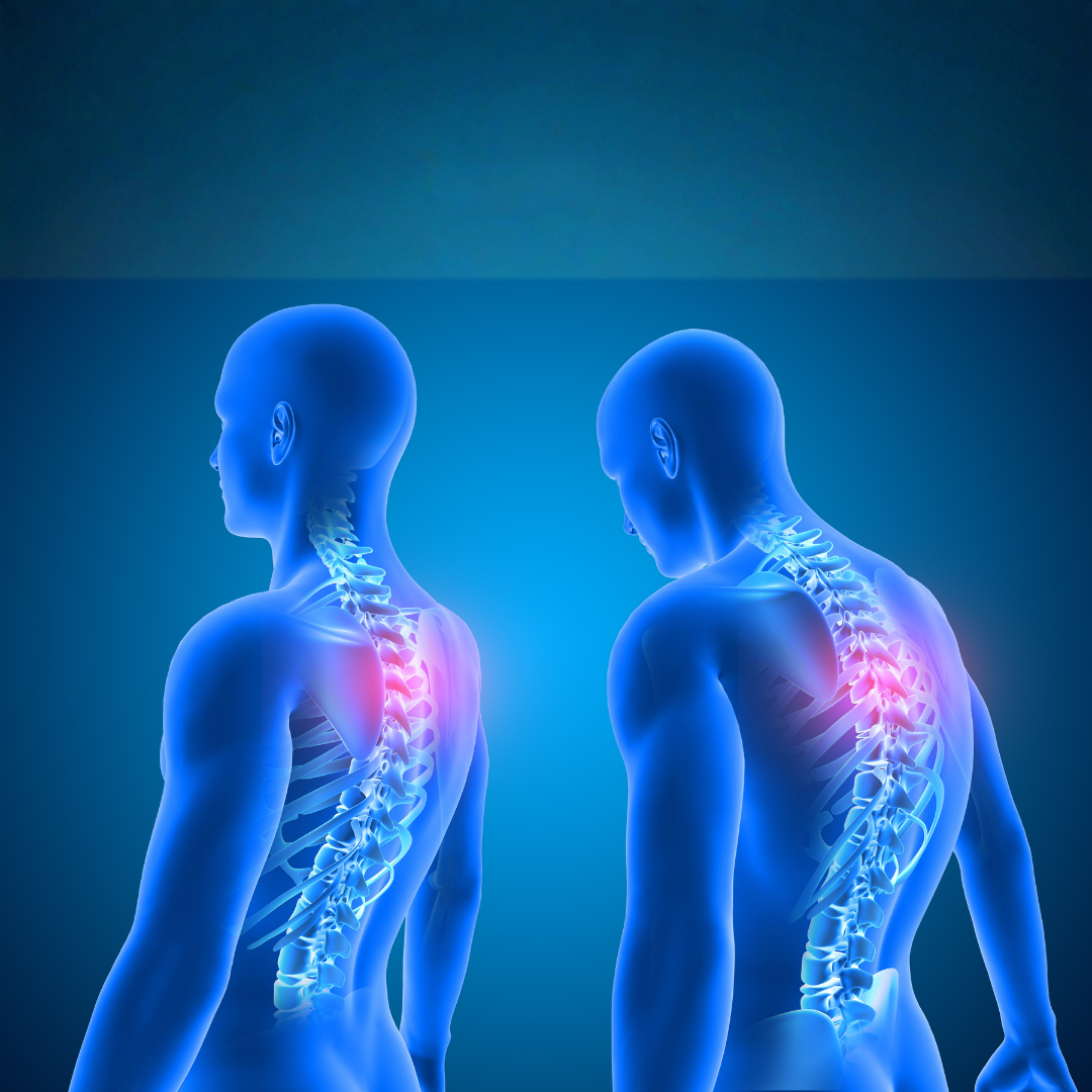 調整人體工學椅高度與腰靠的 SOP 步驟圖