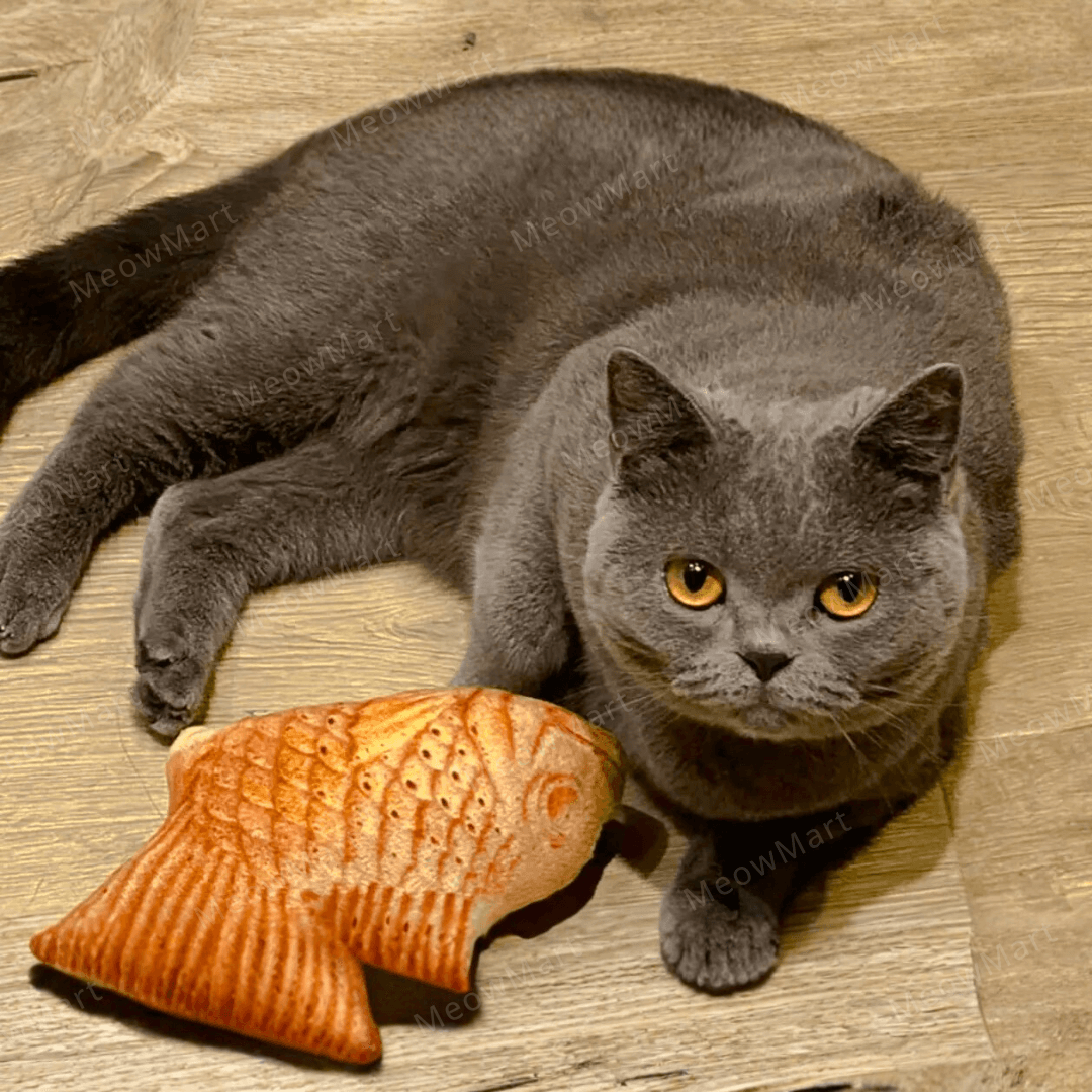 catwant 貓咪旺農場 鯛魚燒