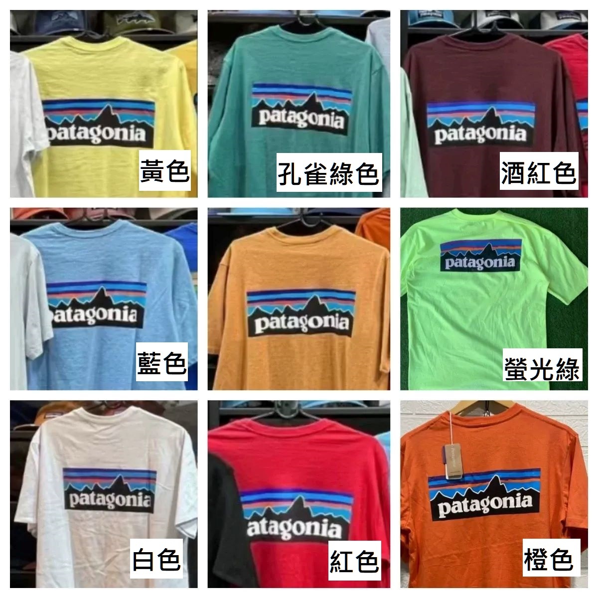 Patagonia 經典 P6 短袖Tee