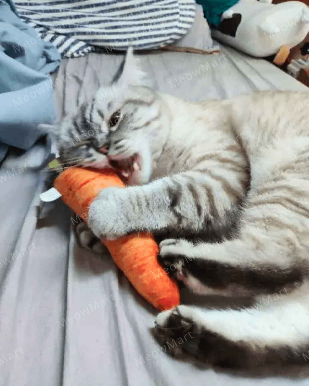 catwant 貓咪旺農場 紅蘿蔔