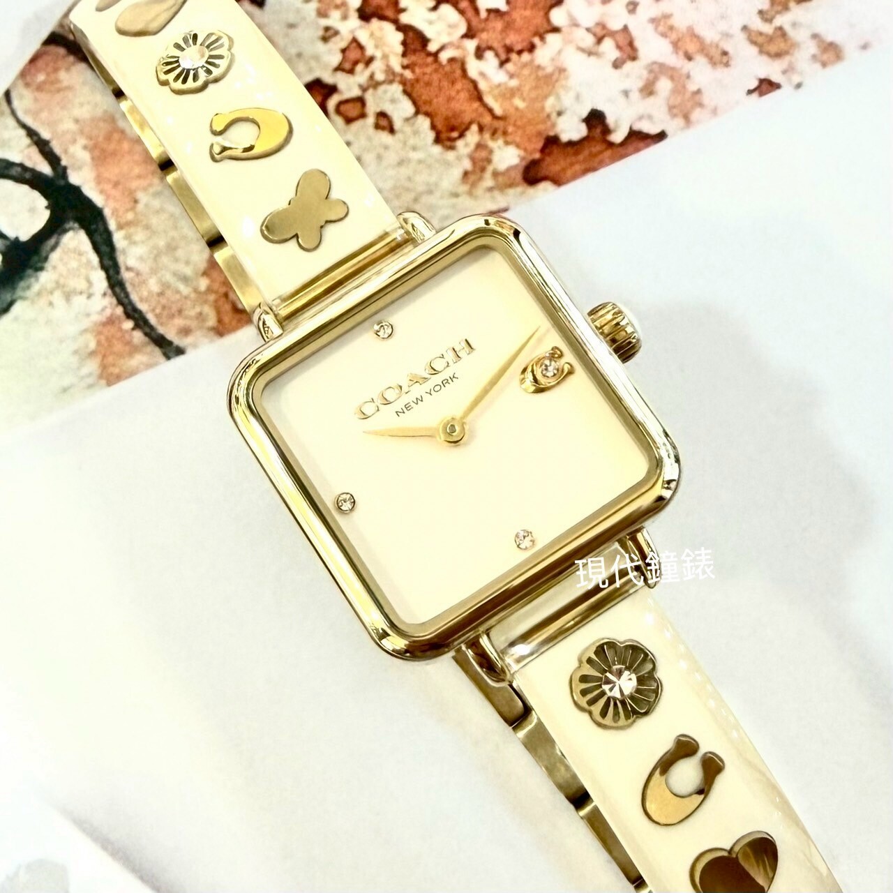 【COACH】CO14504308 22mm Modern Watch