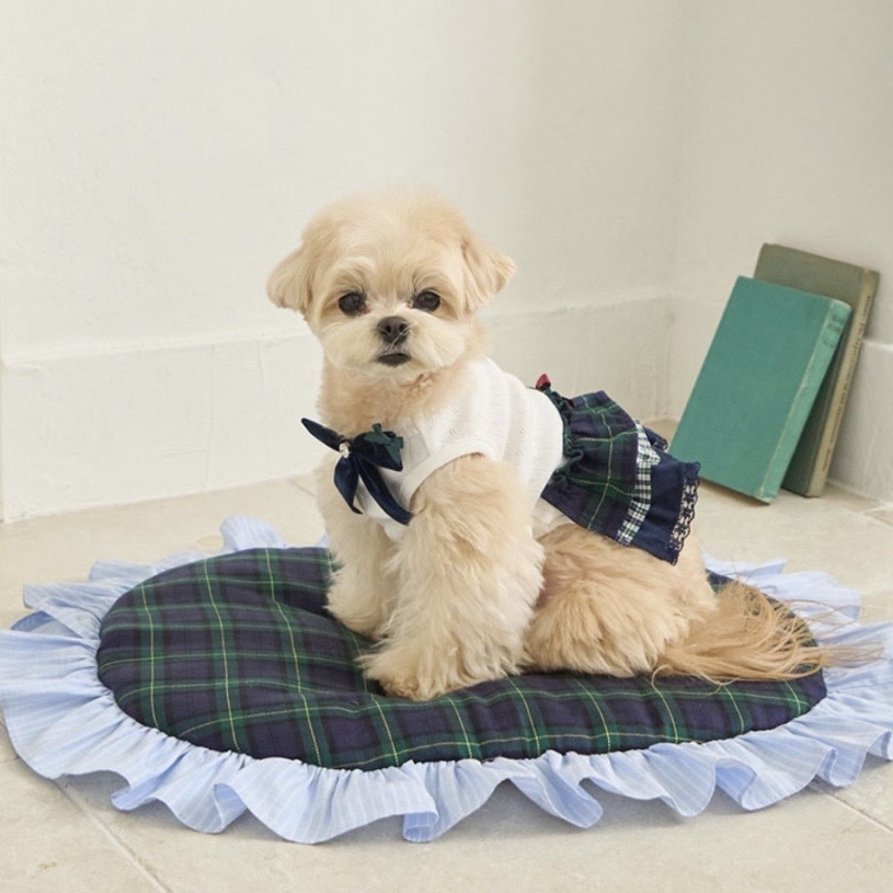 Cancan素雅內搭層裙Navy -學院風 綠格   It’s sunny outside