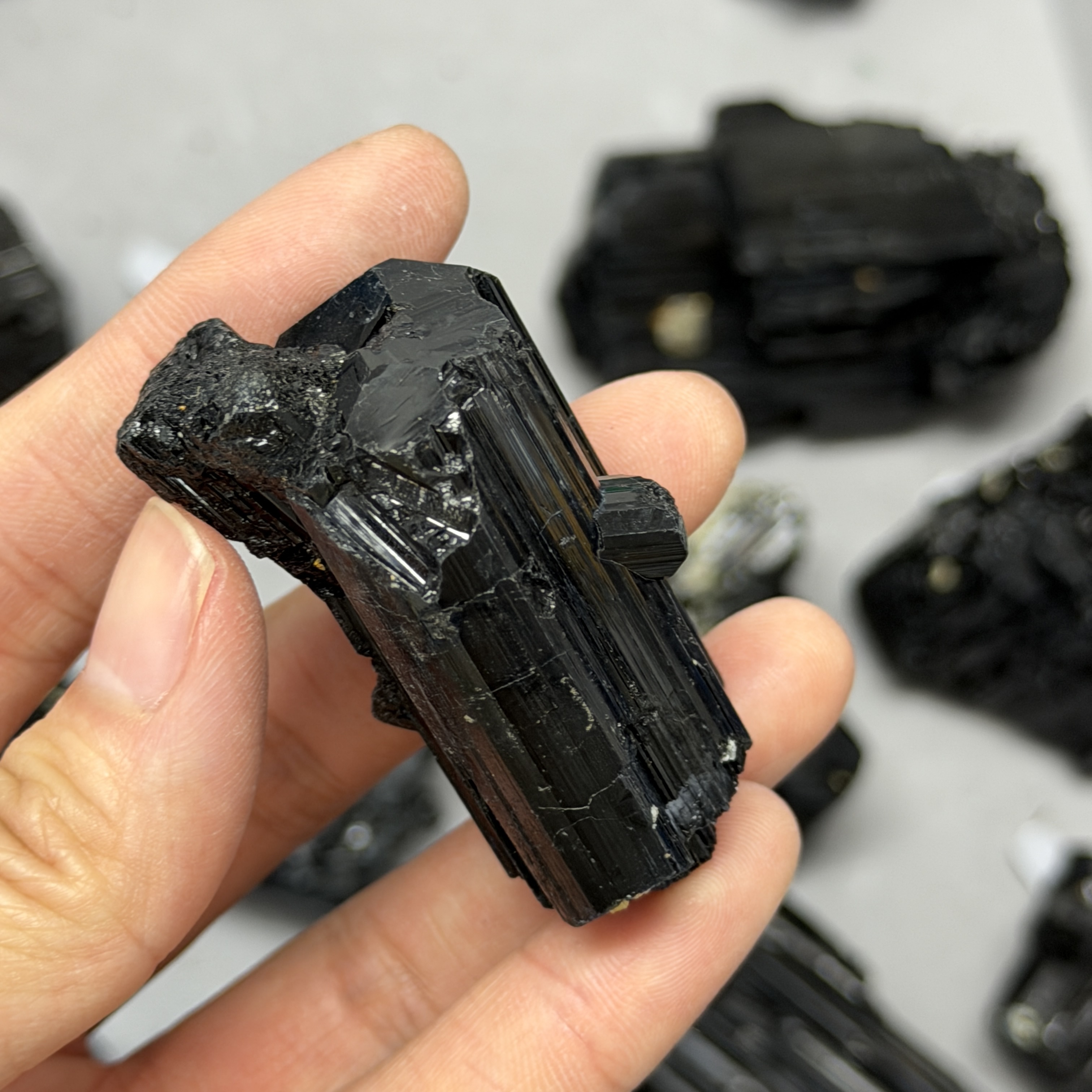 收藏品黑碧璽/電氣石礦標 TRR1833