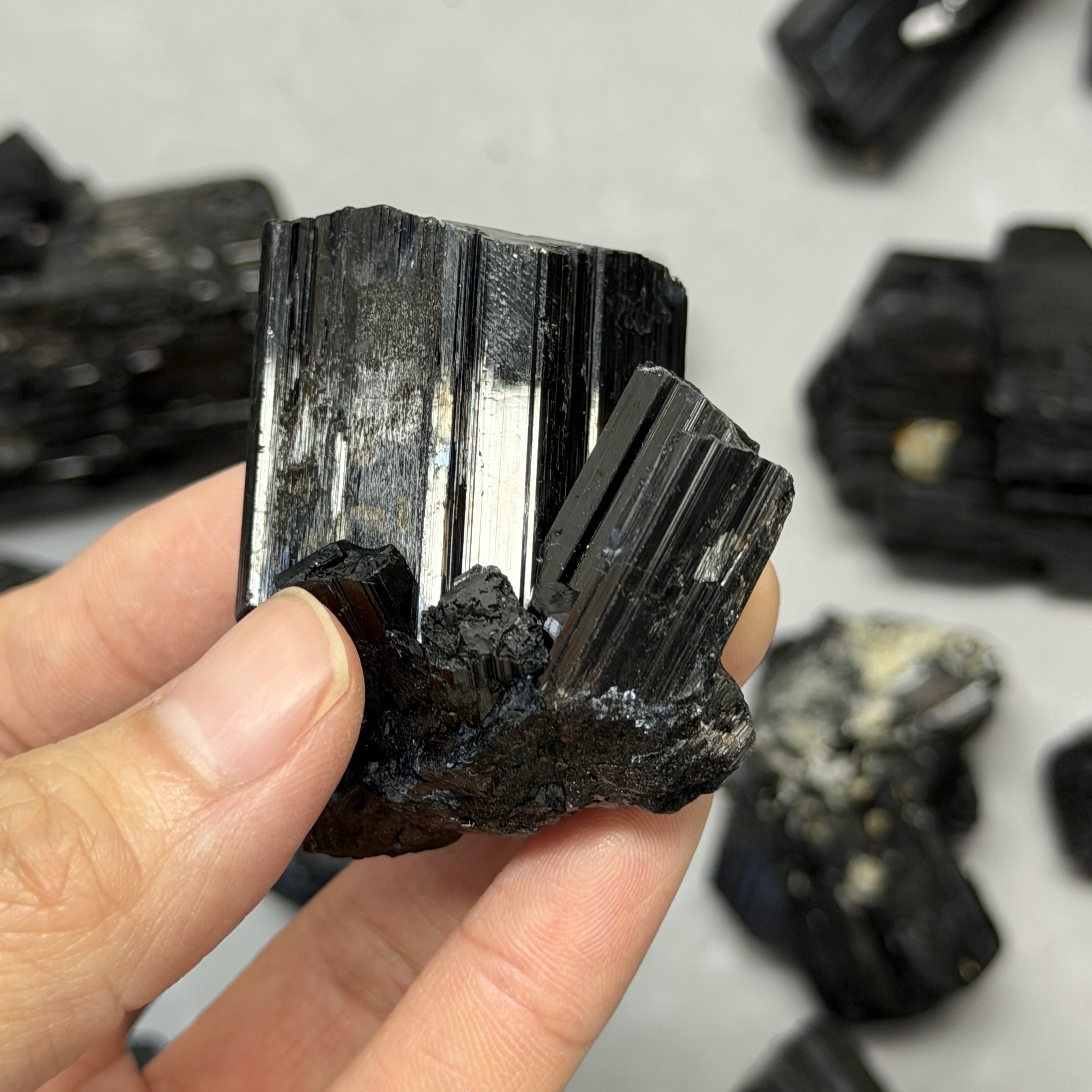 收藏品黑碧璽/電氣石礦標 TRR1832