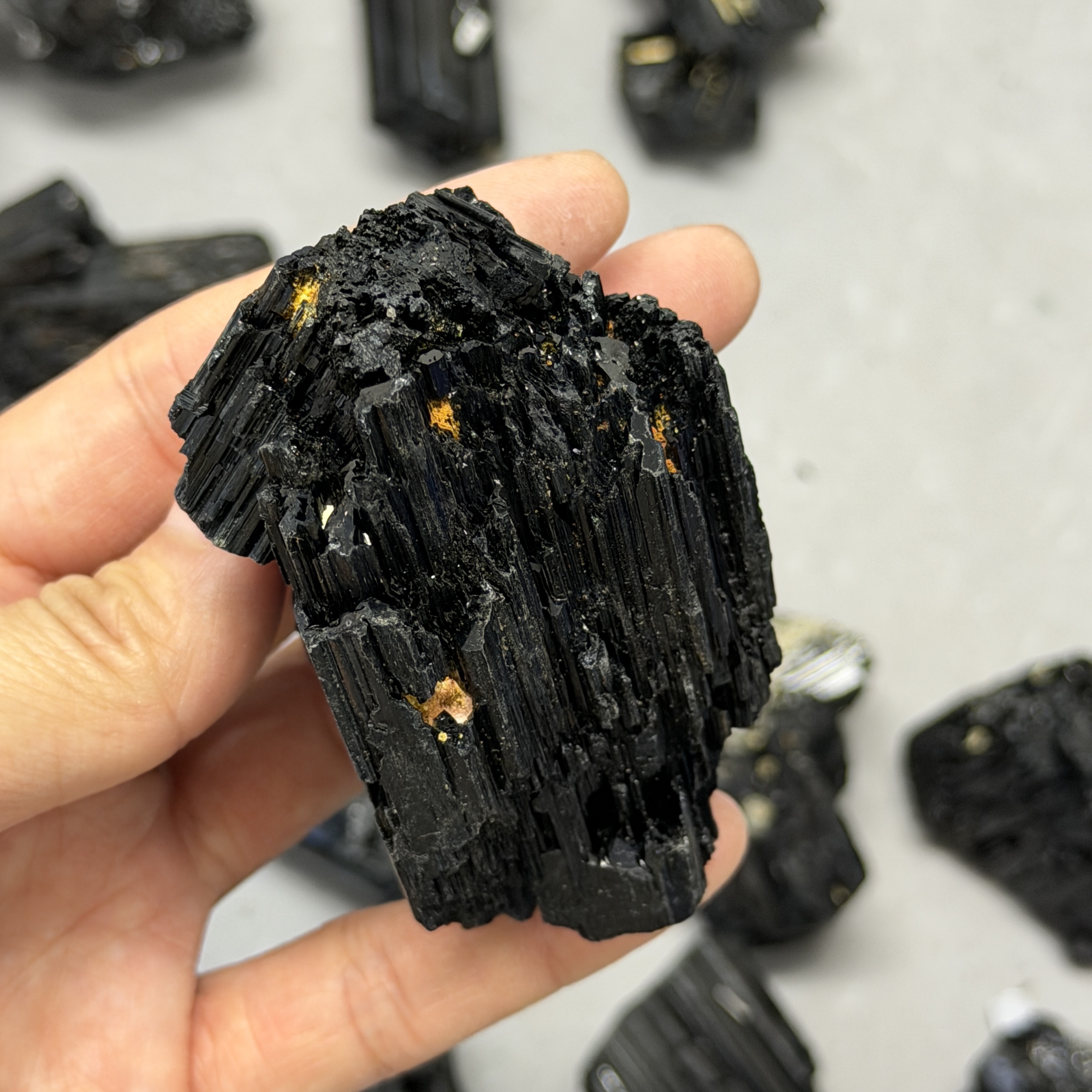 收藏品黑碧璽/電氣石礦標 TRR1831