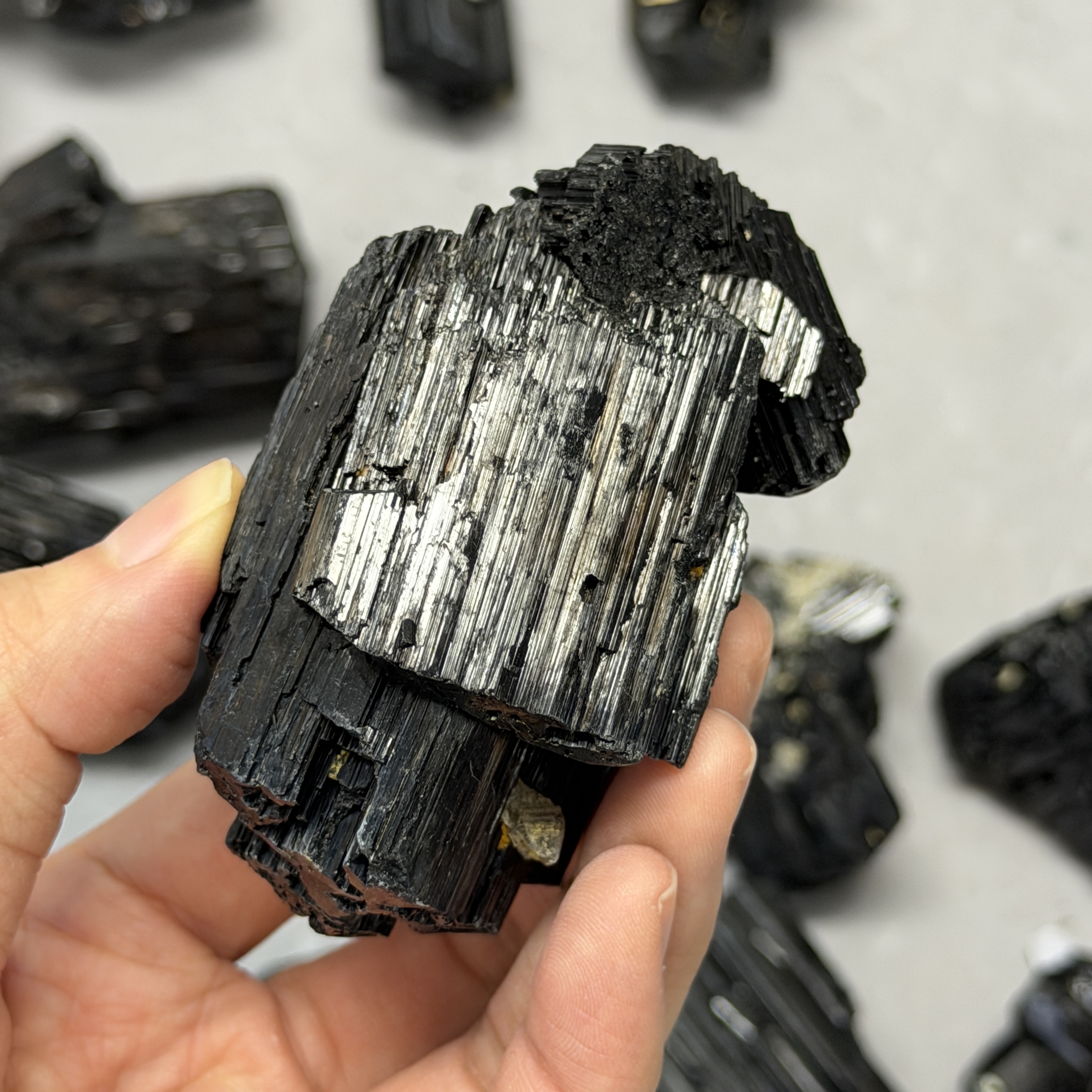 收藏品黑碧璽/電氣石礦標 TRR1831