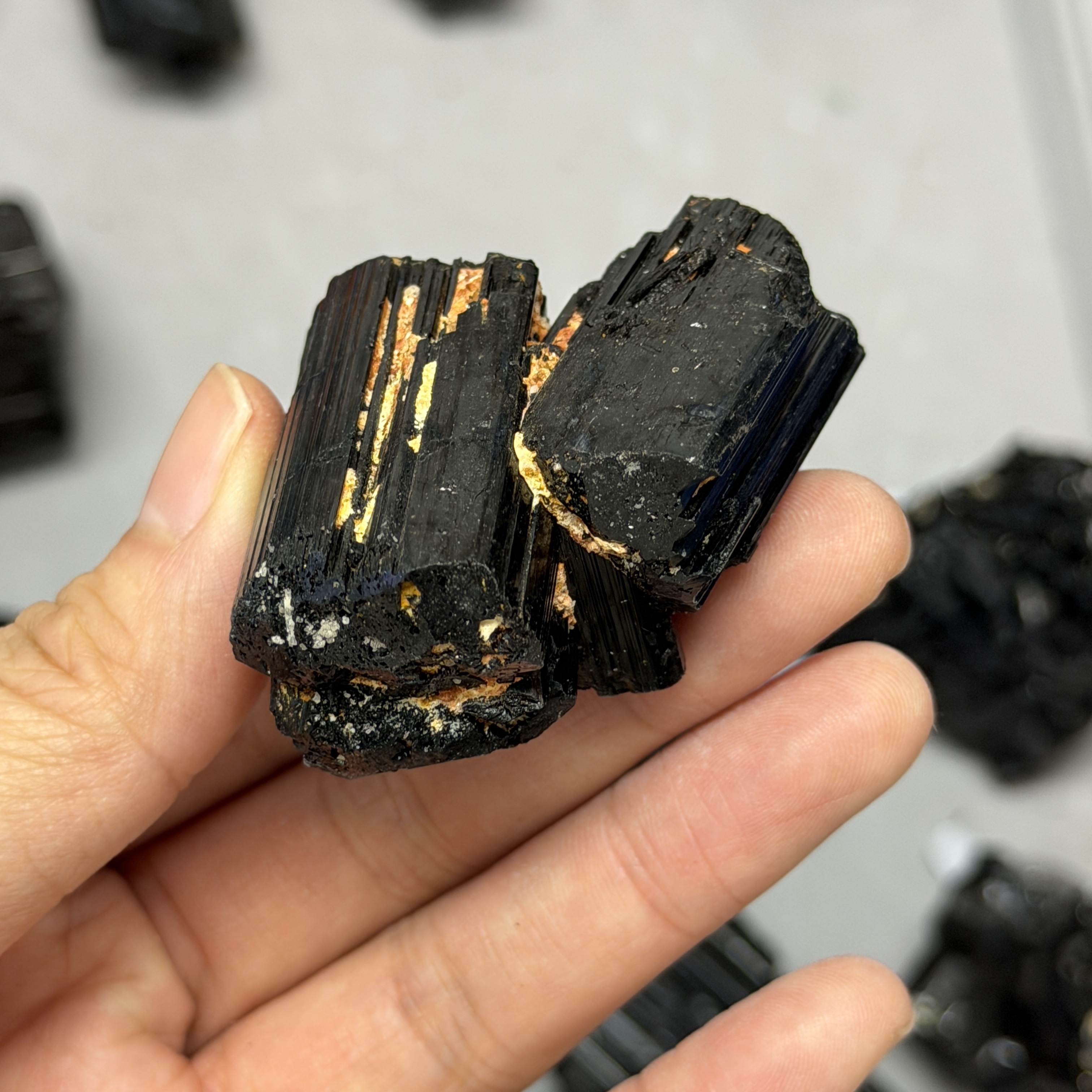 收藏品黑碧璽/電氣石礦標 TRR1830