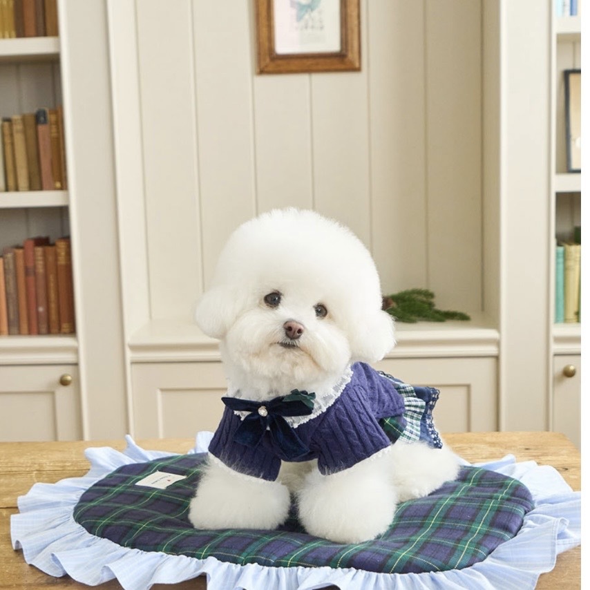 Preppy Knit Cardigan 學院風蕾絲領針織外套 海軍 -It’s sunny outside